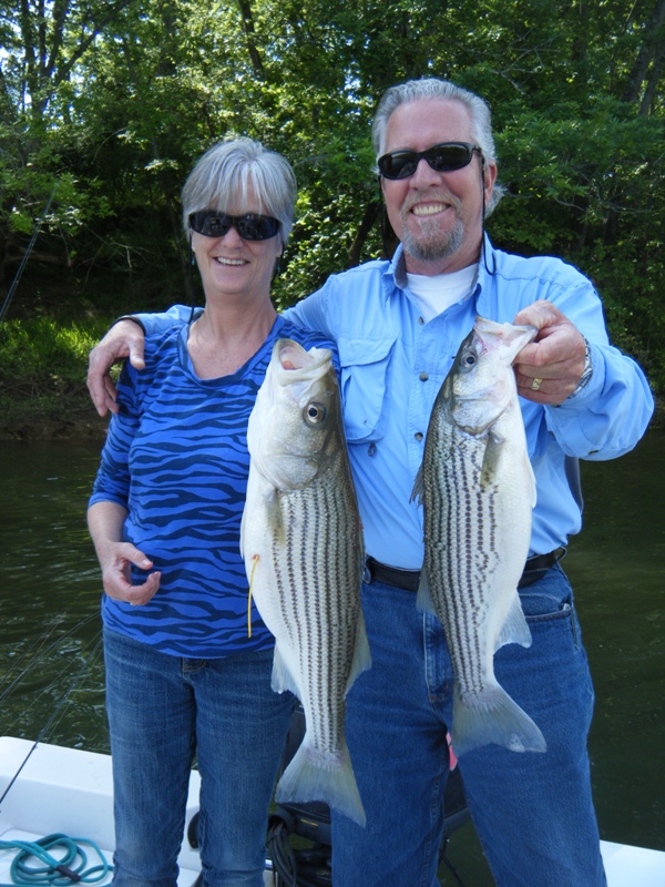 TarPam Guide Service Roanoke River Striper Fishing Charters