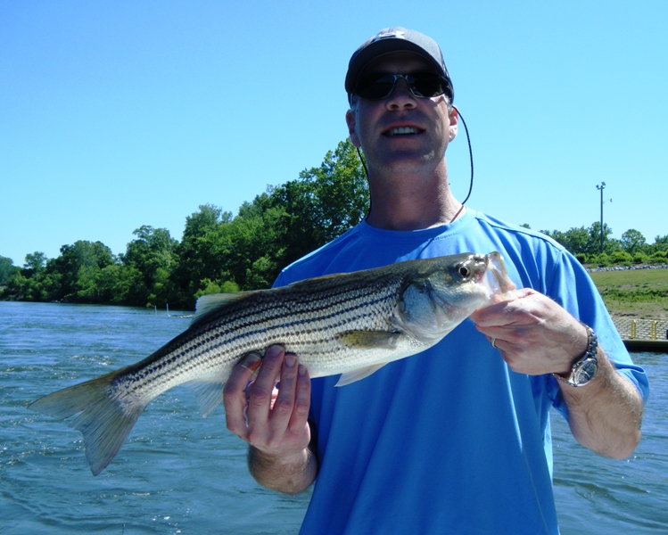 TarPam Guide Service Roanoke River Striper Fishing Charters
