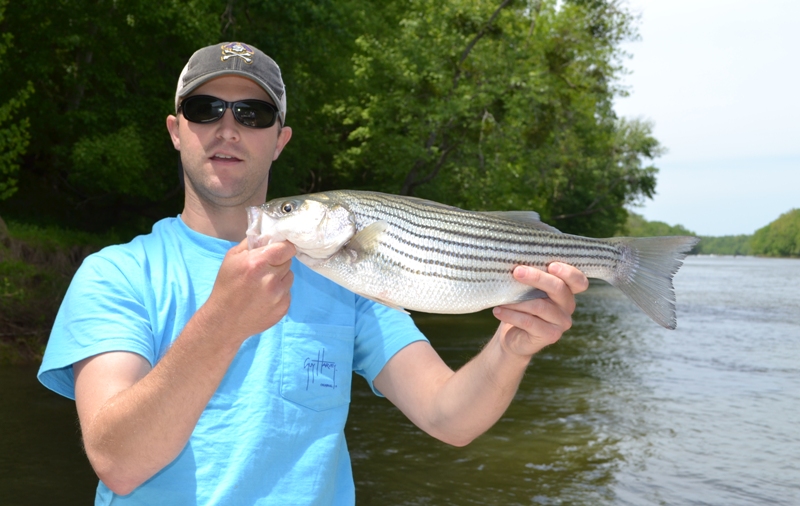 TarPam Guide Service Roanoke River Striper Fishing Charters
