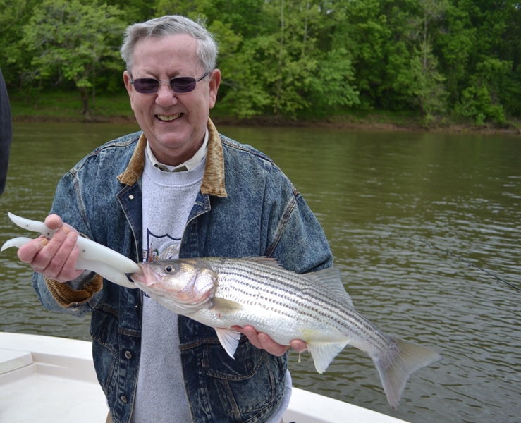 TarPam Guide Service Roanoke River Striper Fishing ChartersTarPam