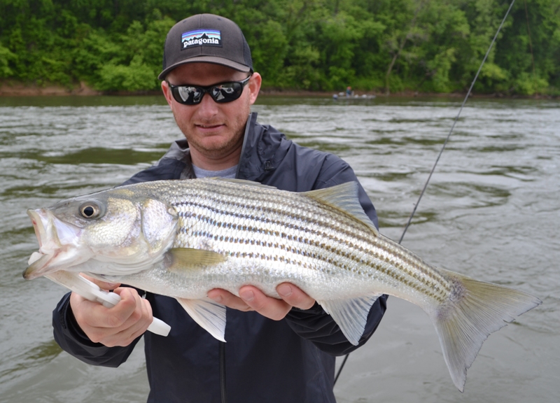 TarPam Guide Service Roanoke River Striper Fishing ChartersTarPam