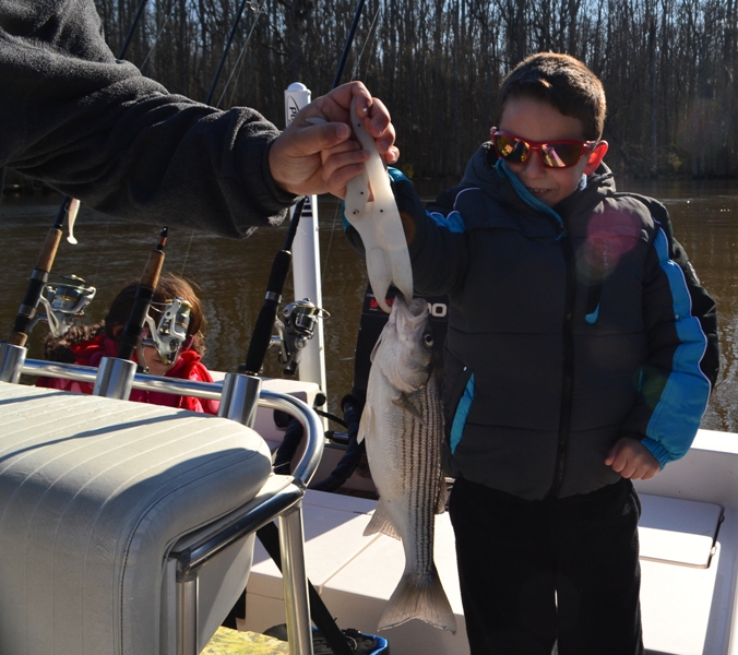 Good Striper Fishing Today TarPam Guide Service