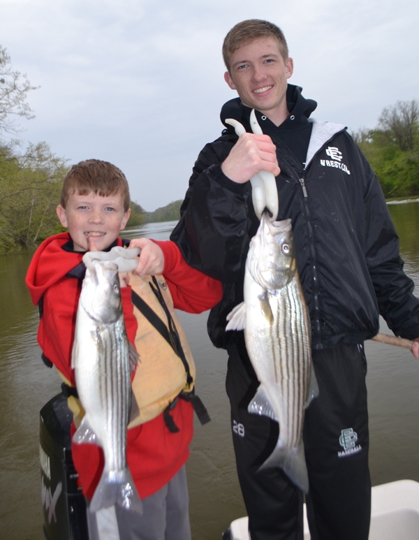 Roanoke River Striper Fishing Report TarPam Guide Service