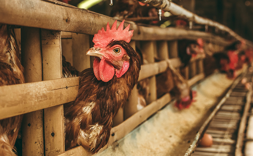 Tarwater Farm & Home Supply Topeka, KS Holton, KS