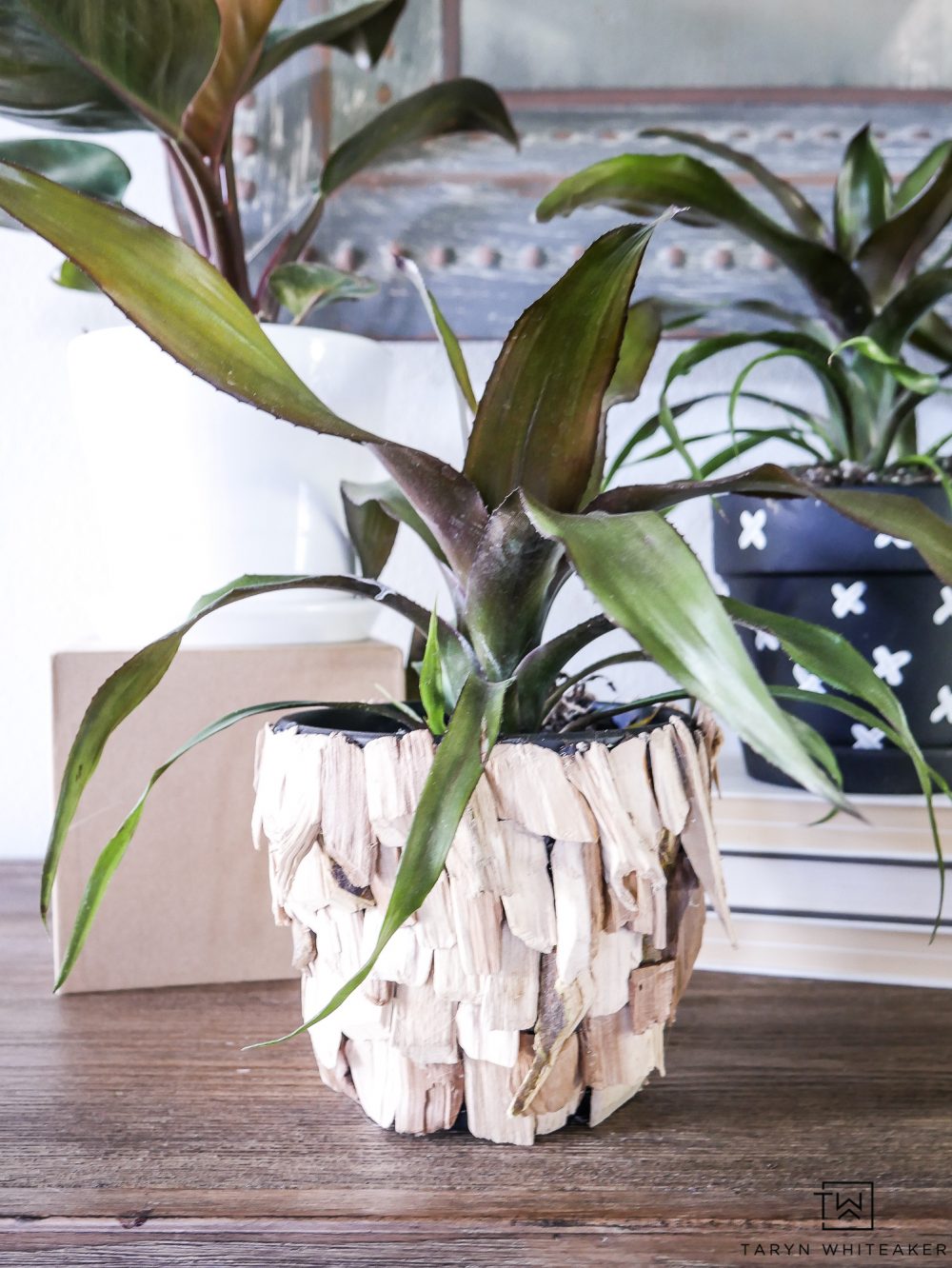 DIY Plant Pots Taryn Whiteaker