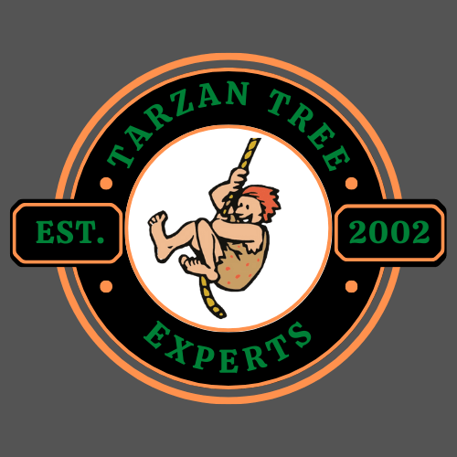 Tarzan Tree Tarzan Tree Experts