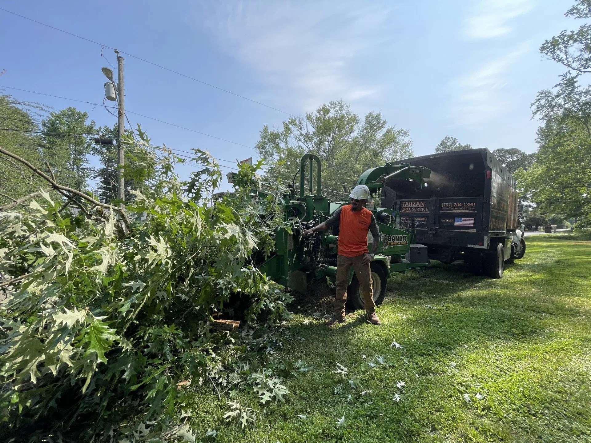 Projects TARZAN TREE SERVICE