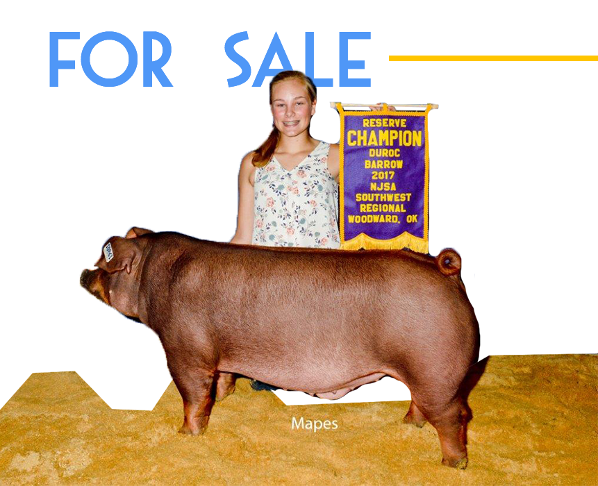 For Sale » Thompson & Sons