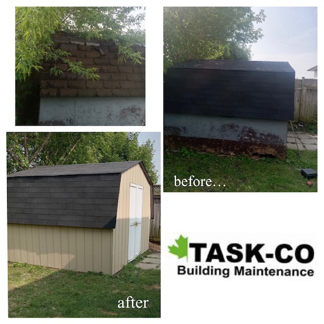 Backyard Shed Restoration Handyman Work Taskco Building