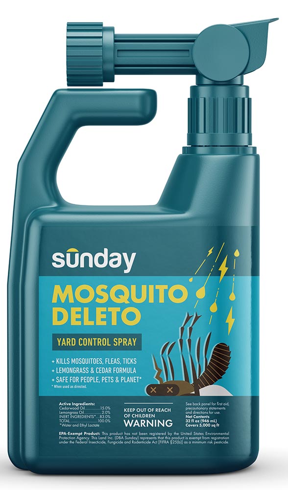 Best Mosquito Repellents in 2021