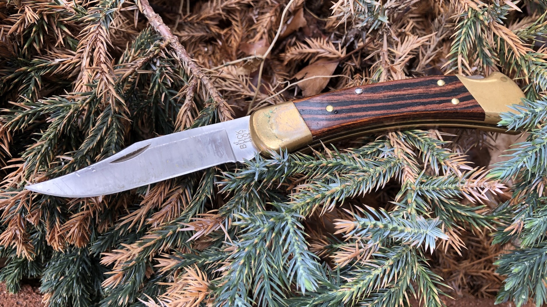 Buck 110 review An American legend of a folding knife Task & Purpose
