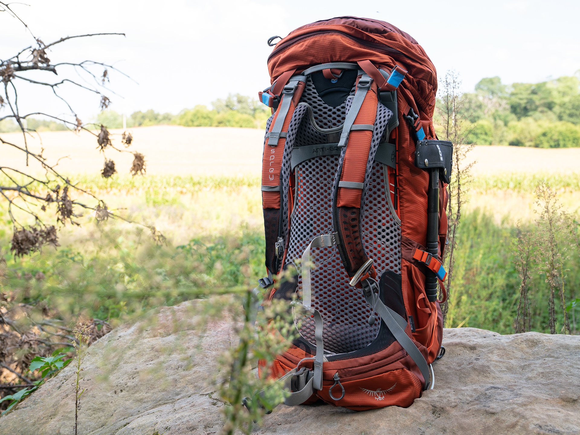 Osprey Atmos AG 65 Backpack (Review & Buying Guide) in 2023