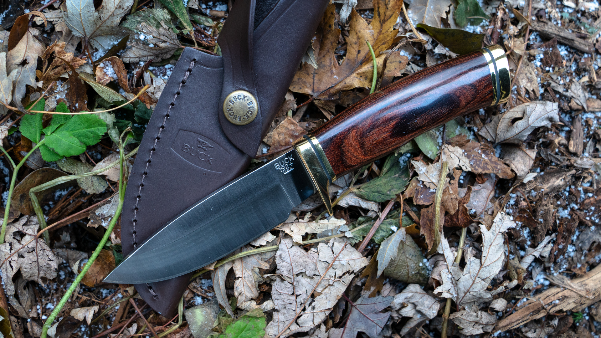 Best Hunting Knives (Review & Buying Guide) in 2022 Task & Purpose