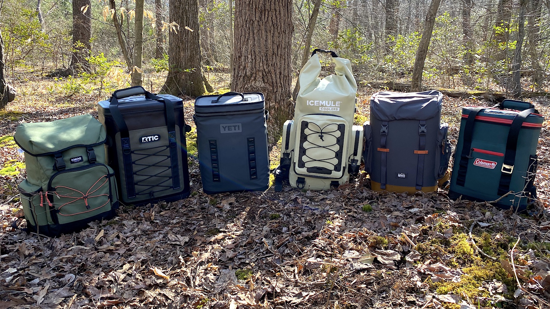 The best backpack coolers for your next overland excursion LaptrinhX