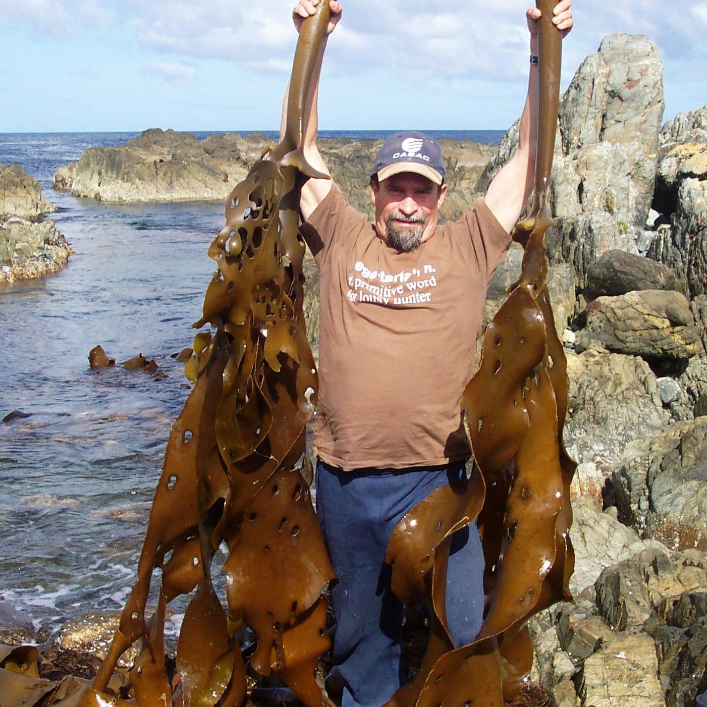Taskelp Suppliers of premium kelp products