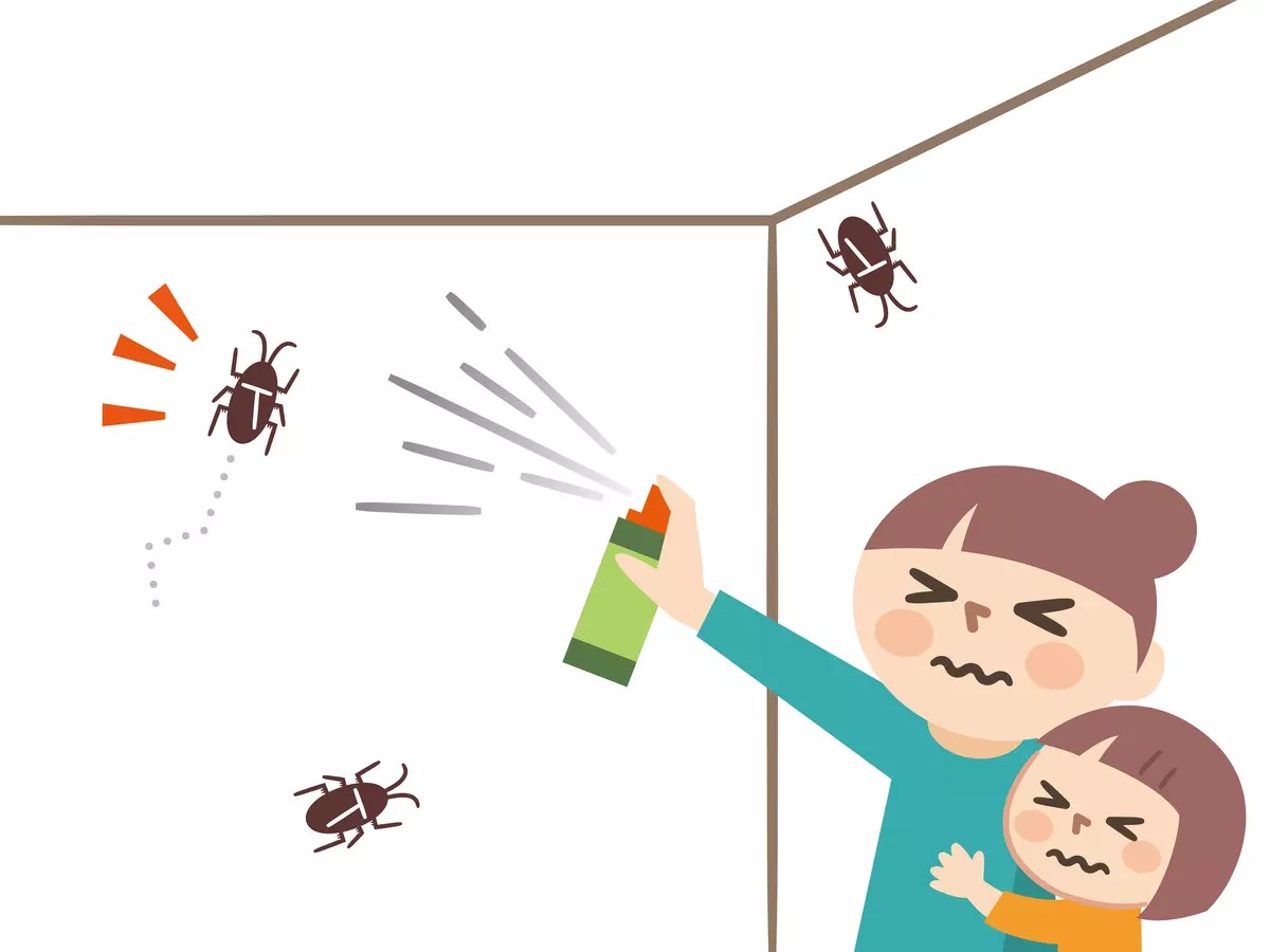 実は叩いて潰すのは危険！間違ったゴキブリ退治方法｜くらしの一括見積比較コンシェルジュ ゴキブリの簡単な殺し方12選！天井や壁に出たときはどうする？【プロ監修】 | タスクル