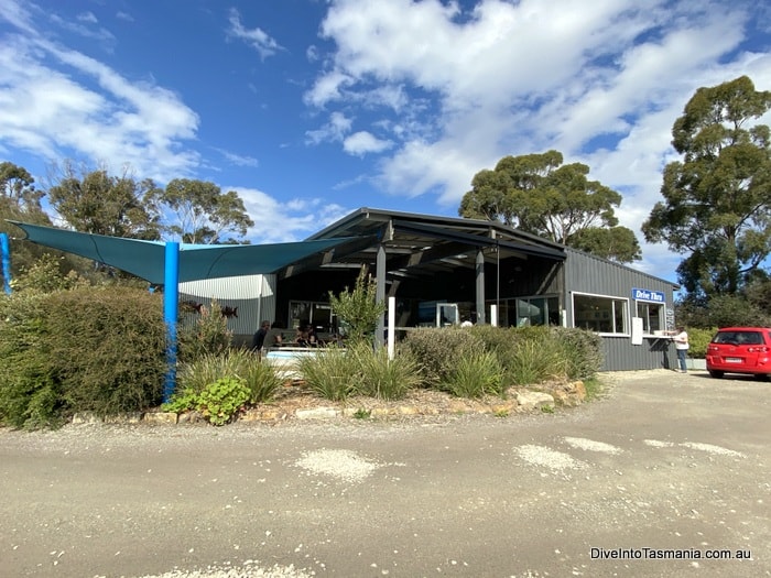 Bruny Island Oysters Get Shucked Bruny Style!