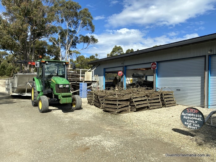 Bruny Island Oysters Get Shucked Bruny Style!