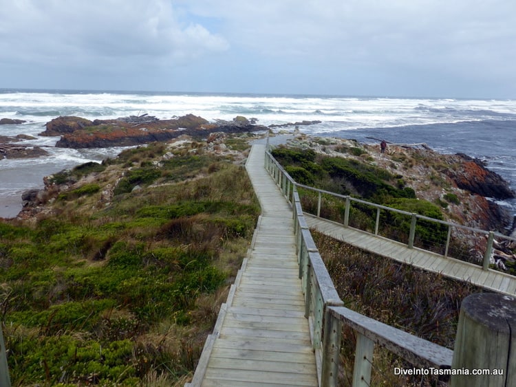 Smithton, Tasmania Things To Do