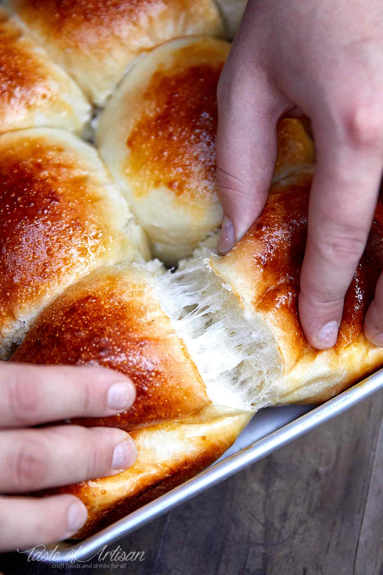 Rustic Yeast Rolls Taste of Artisan