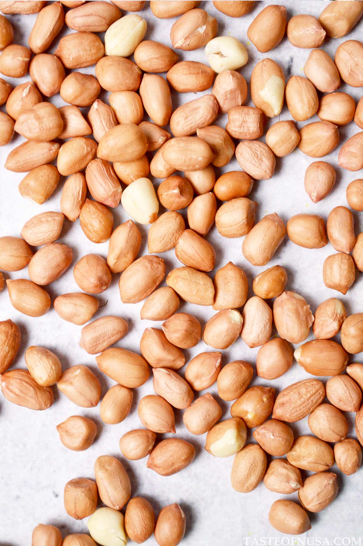 What is Peanut? Taste of Nusa