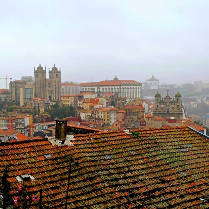 What to do in Porto when it rains [+10 indoor activities]