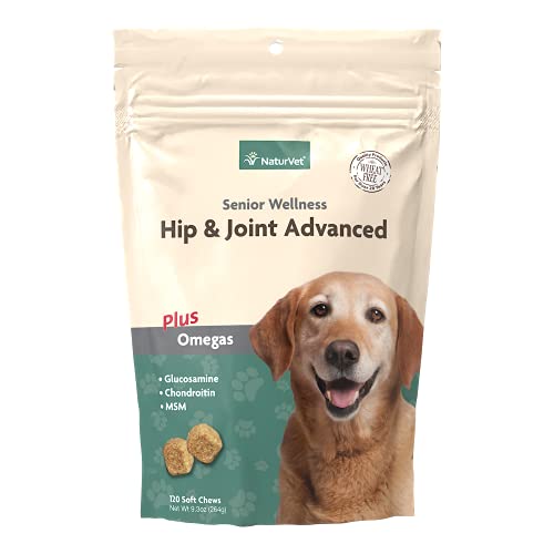Best Hip And Joint Supplement For Senior Dogs (2024 Updated) Taste of