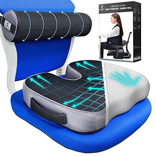 Best Ergonomic Chair For Lower Back Pain (2023 Updated) Taste of St