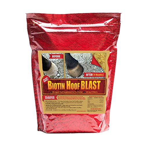 Best Hoof Supplement For Horses (2024 Updated) Taste of St. Louis