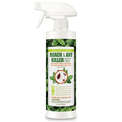 Best Indoor Bug Spray Safe For Pets (2026 Updated) Taste of St. Louis
