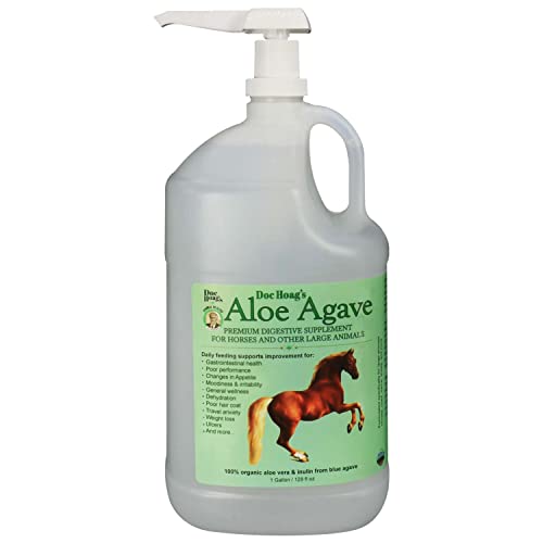 Best Supplement For Gastric Ulcers In Horses (2023 Updated) Taste of