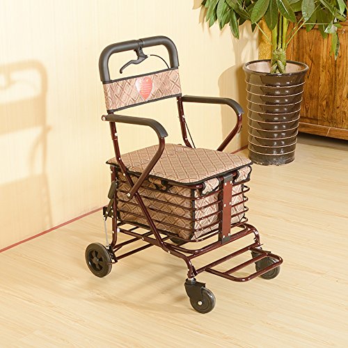 Best Grocery Carts For Seniors (2023 Updated) Taste of St. Louis