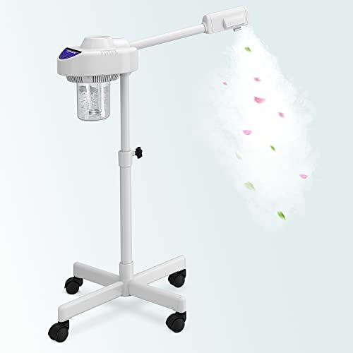 Best Facial Steamer For Estheticians (2024 Updated) Taste of St. Louis