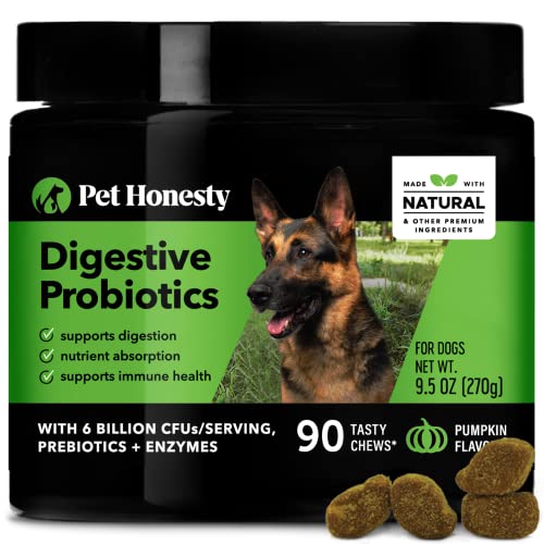 Best Yogurt For Dogs With Yeast Infections (2024 Updated) Taste of St