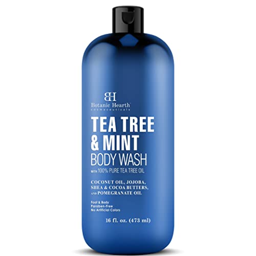 Best Body Wash For Men With Dry Skin (2024 Updated) Taste of St. Louis