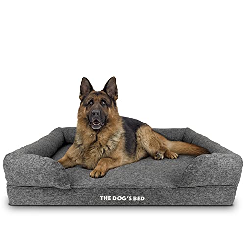 Best Orthopedic Dog Bed For Hip Dysplasia (2023 Updated) Taste of St