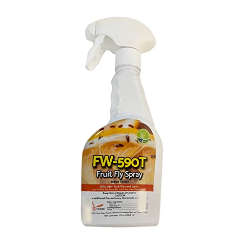Best Fruit Fly Killer Spray (2023 Updated) Taste of St. Louis