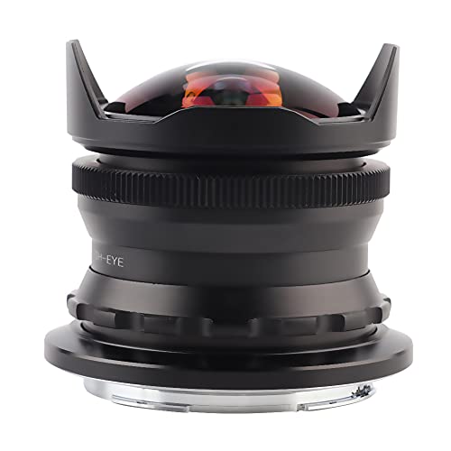 Best Lenses For Nikon Z50 (2023 Updated) Taste of St. Louis