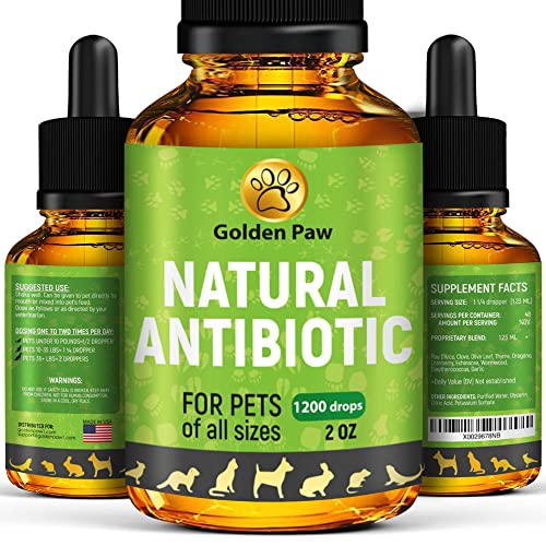 Best Oral Antibiotic For Dog Ear Infection (2023 Updated) Taste of St