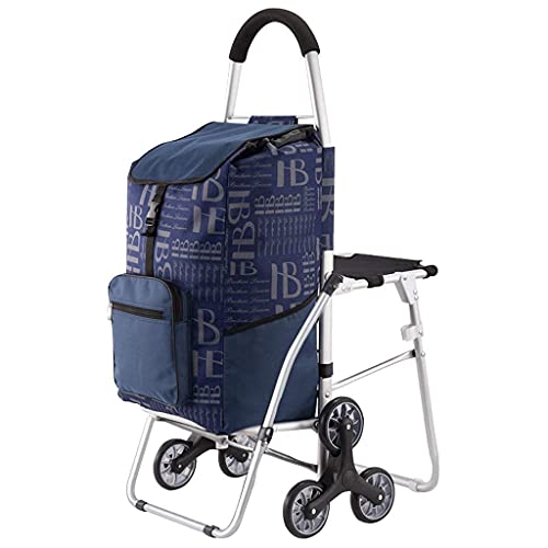 Best Grocery Carts For Seniors (2023 Updated) Taste of St. Louis