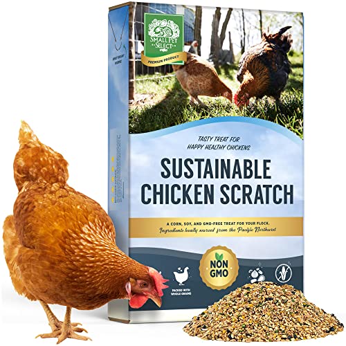 Best Organic Chicken Feed For Laying Hens (2023 Updated) Taste of St