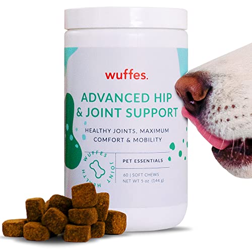Best Hip And Joint Supplements For Dogs (2023 Updated) Taste of St. Louis