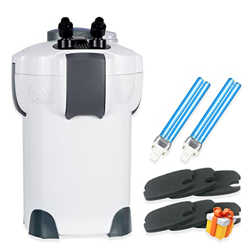 Best Canister Filter For Gallon Tank (2023 Updated) Taste of St. Louis