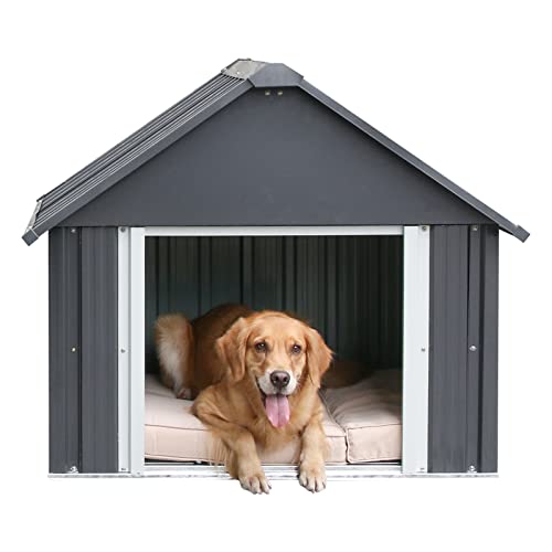 Best Outdoor Dog House For Large Dogs (2023 Updated) Taste of St. Louis