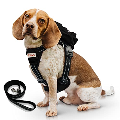 Best No Pull Dog Harness For Large Dogs (2023 Updated) Taste of St. Louis
