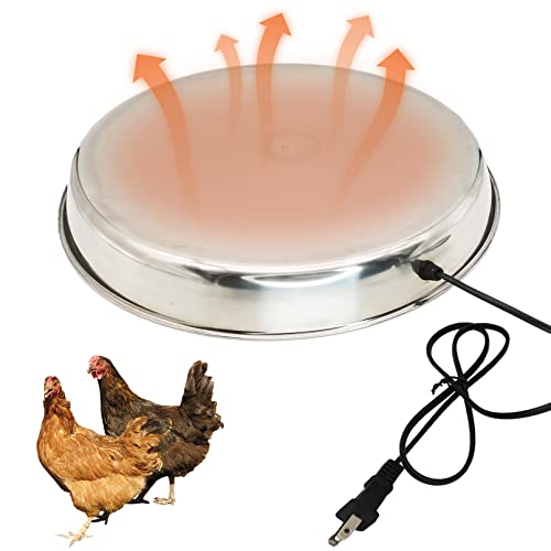 Best Chicken Waterer For Winter (2023 Updated) Taste of St. Louis