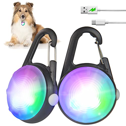Best Products For Walking Dog At Night (2024 Updated) Taste of St. Louis