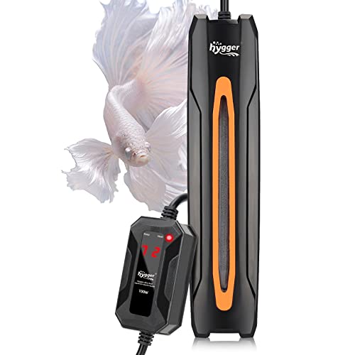 Best Saltwater Fish For 40 Gallon Tank (2023 Updated) Taste of St. Louis