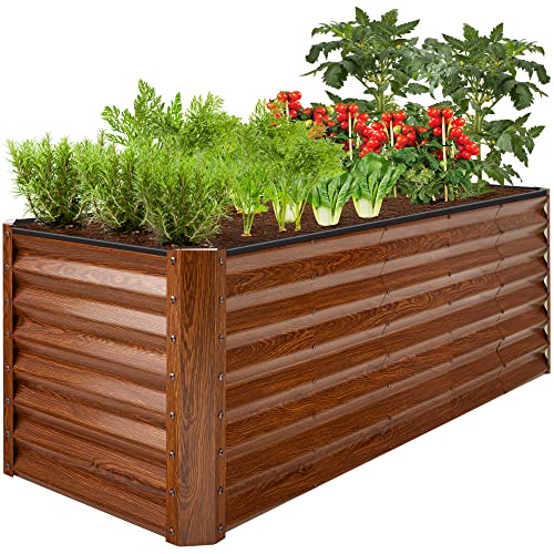Best Wood To Use For Raised Beds (2023 Updated) Taste of St. Louis
