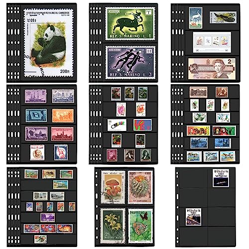 Best Stamp Collecting Albums (2024 Update) Taste of St. Louis